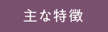主な特徴